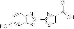 Photinus-Luciferin