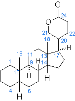 Bufadienolid Grundgerst