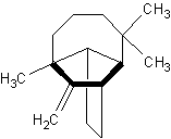 Longifolen