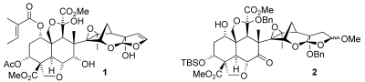 Azadirachtin Synthesis