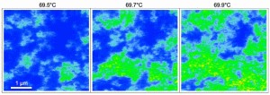 Mott transition of VO2