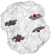 The 4 hemo groups of hemoglobin