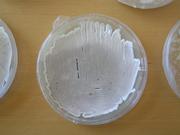 Streptomyces auf einer Agar-Platte Streptomyces auf einer Agar-Platte