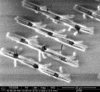 Zinc oxide nanowires