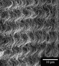 Carbon nanotube block