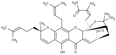 Gambogic acid amide