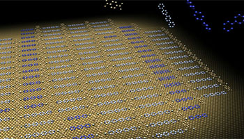 Nanometer scale organisation of molecular components