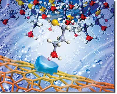 Carbon nanotube interaction