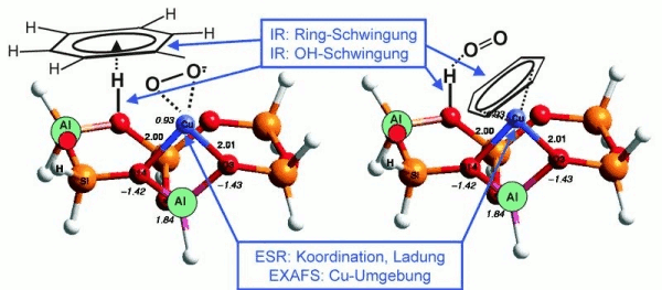 Adsorption von Benzol und Sauerstoff an katalytischen Kupfer- und Säurezentren eines Zeolithen. Phenolherstellung