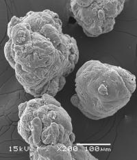 Submicroscopic particles of PVC