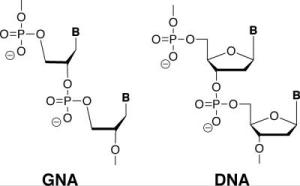 GNA - glycerol nucleic acid