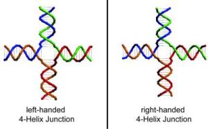 Glycerol nucleic acid