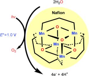 Manganese oxo complex