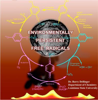 Persistent free radicals (PFR)
