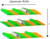 Polymergel mit Eigenbewegung