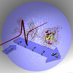 Protein folding