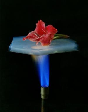 Silicon Aerogel