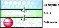 Chemists have developed a method to better preserve organs for transplantation.