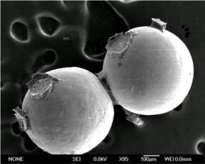 Glass beads that were glued together by a sandcastle worm