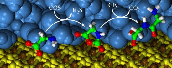 Prbiotische Peptidsynthese