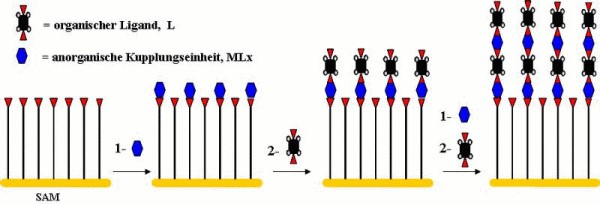 Synthese von metallorganischen Kfigverbindungen, MOF 