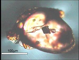 Diamanteinschluss in einem Zirkon