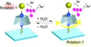 A molecular rotor