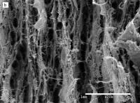 Cellulose nanopaper