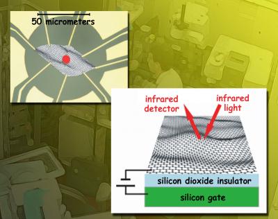 A flake of exfoliated graphene