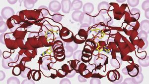 Structure of human Steap3