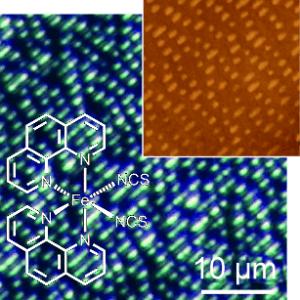 A neutral iron(II) complex onto a silicon wafer in the form of very fine lines