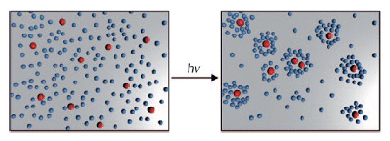 Diffusiophoresis