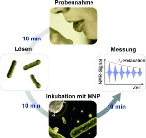 Empfindliches und schnelles Analysesystem fr Erreger