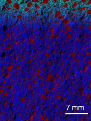 Very few chloride ions (in green) penetrate into the concrete