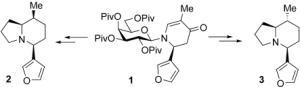Stereoselective Synthesis of Enantiomerically Pure Nupharamine Alkaloids