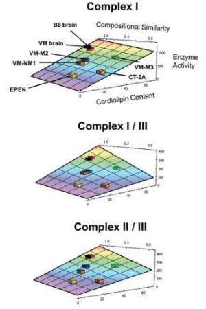 Cardiolipin abnormalities