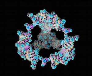 Biokleber