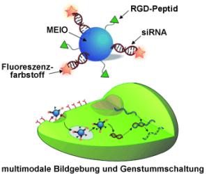 Multimodale Bildgebung und Genstummschaltung