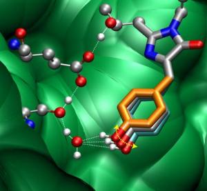 GFP Chromophore