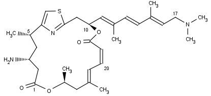 Formula of Pateamine A