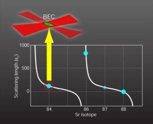 Strontium BEC Formation