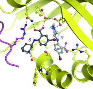 New binding mode for chiral drugs