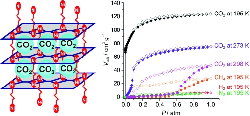 Highly Selective Carbon Dioxide Capture in Flexible 3D Coordination Polymer Networks