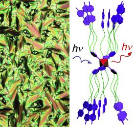 Clustomesogene: Photolumineszierende Flüssigkristalle