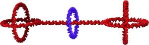 DNA-Rotaxan