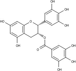 Epigallocatechin-3-gallat, EGCG