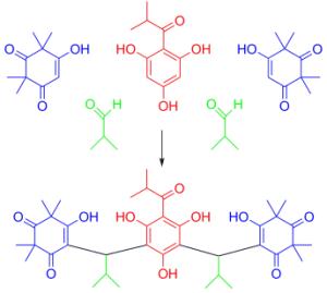 Totalsynthese von Myrtucommulon A