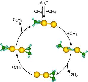 Methane activation: catalytic dimers of gold atoms make ethylene from methane