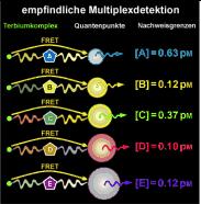 Bunte Bioassays