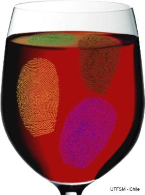 Der chemische Fingerabdruck des Weins Der chemische Fingerabdruck des Weins